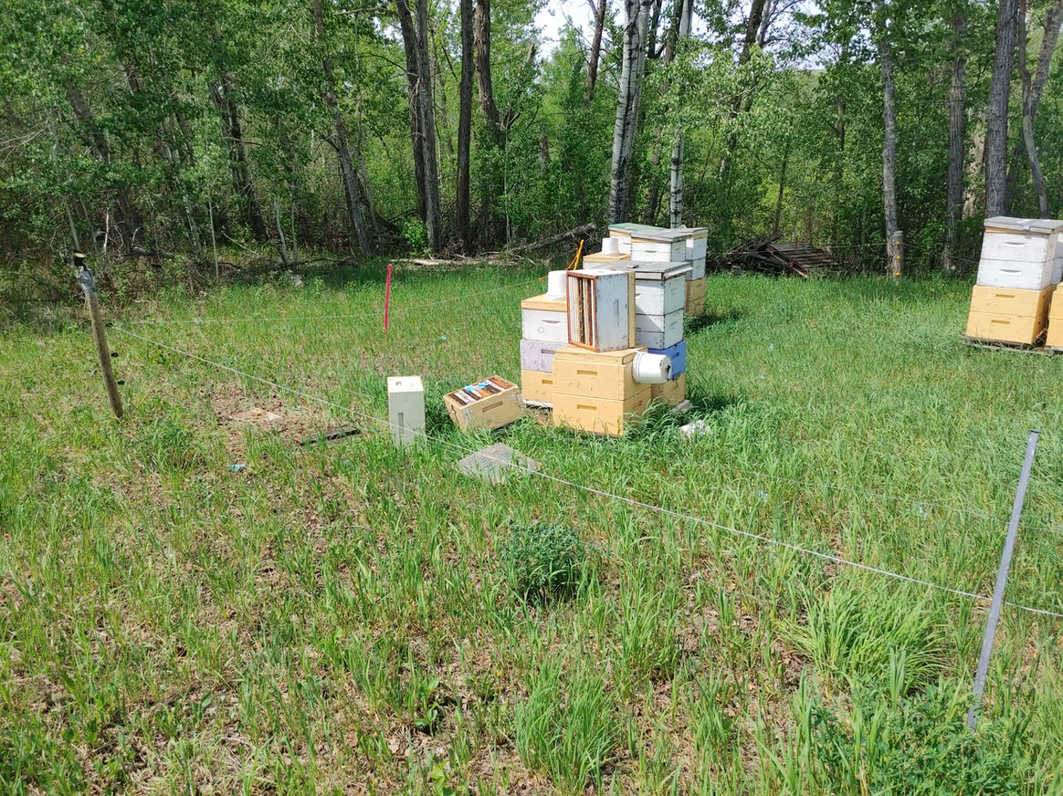 2021 Season photo 27